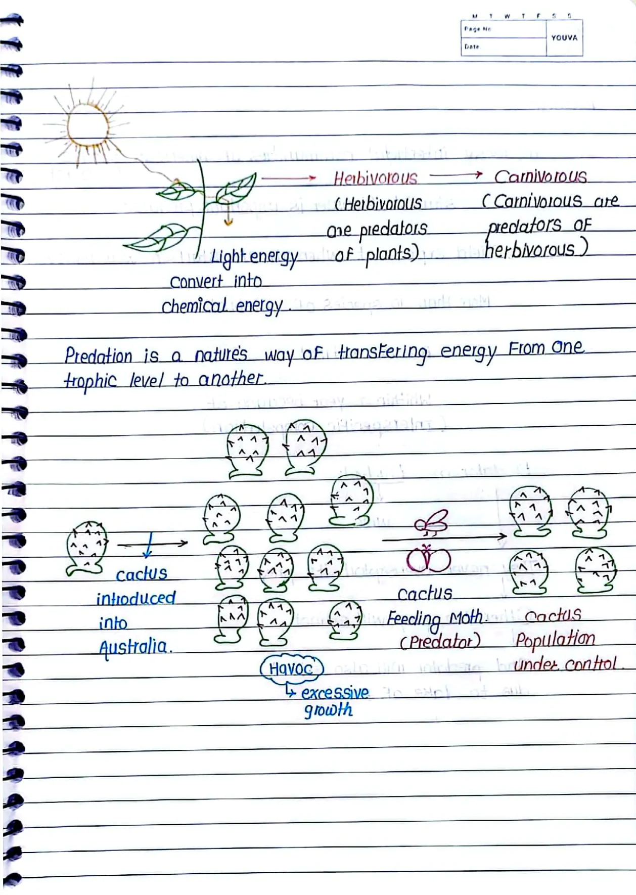 Organism_and_Population_Handwritten_Notes