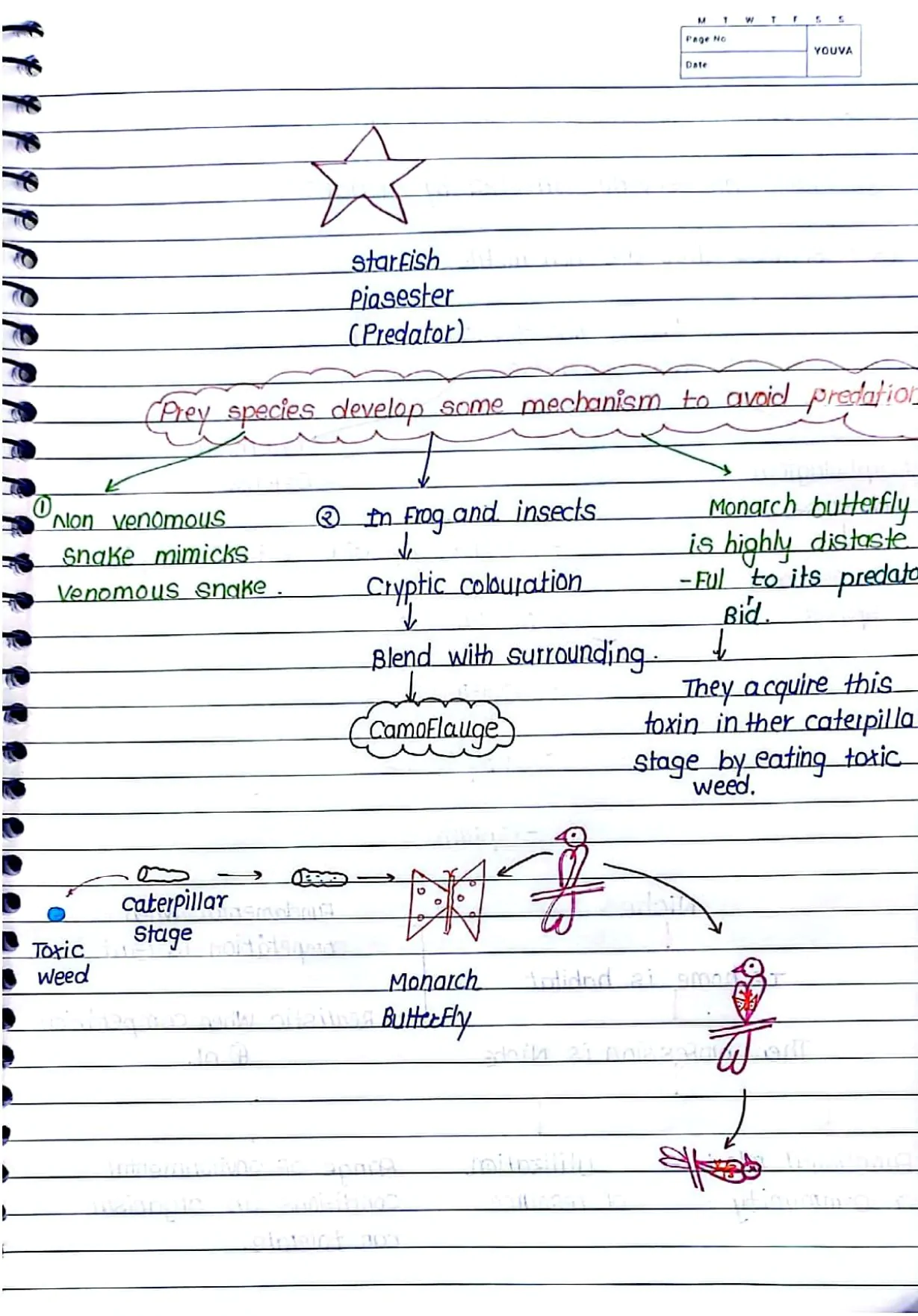 Organism_and_Population_Handwritten_Notes