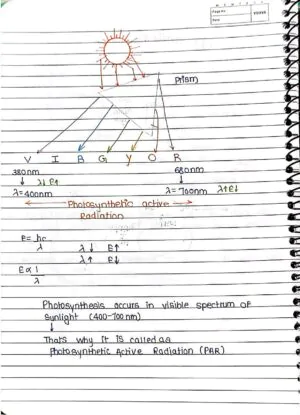 Photosynthesis in Higher Plant