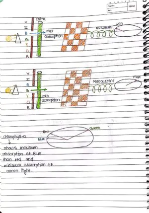 Photosynthesis in Higher Plant