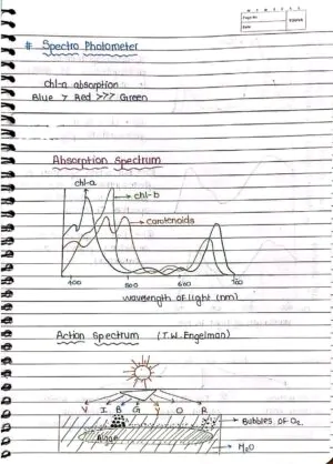 Photosynthesis in Higher Plant