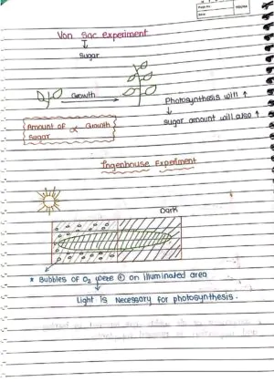 Photosynthesis in Higher Plant