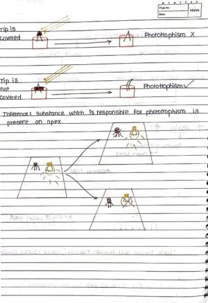 Plant Growth and Development Handwritten Notes_1