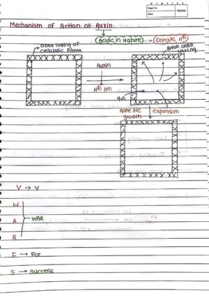 Plant Growth and Development Handwritten Notes_1