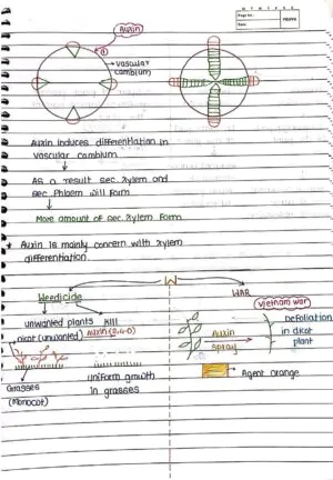 Plant Growth and Development Handwritten Notes_1