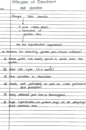 Principles of Inheritance and Variation Handwritten Notes PDF Download