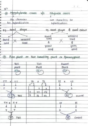 Principles of Inheritance and Variation Handwritten Notes PDF Download