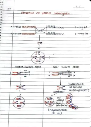 Principles of Inheritance and Variation Handwritten Notes PDF Download