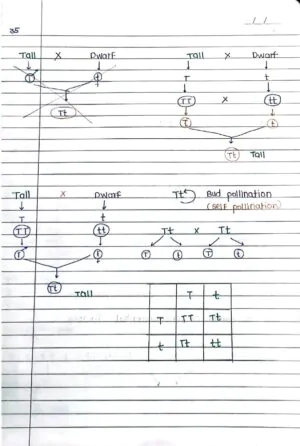 Principles of Inheritance and Variation Handwritten Notes PDF Download