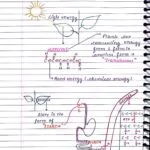 RESPIRATION IN PLANTS CLASS 11TH NEET BIOLOGY HANDWRITTEN NOTES