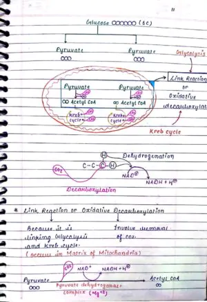 RESPIRATION IN PLANTS CLASS 11TH NEET BIOLOGY HANDWRITTEN NOTES