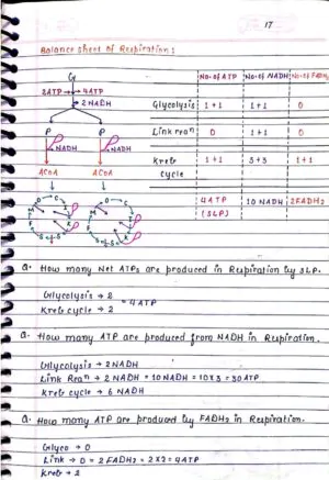 RESPIRATION IN PLANTS CLASS 11TH NEET BIOLOGY HANDWRITTEN NOTES