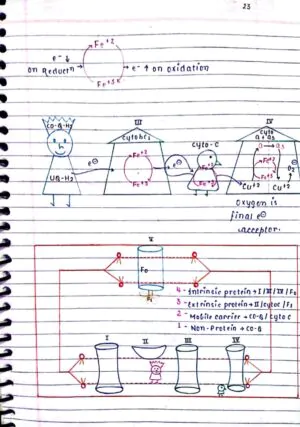 RESPIRATION IN PLANTS CLASS 11TH NEET BIOLOGY HANDWRITTEN NOTES