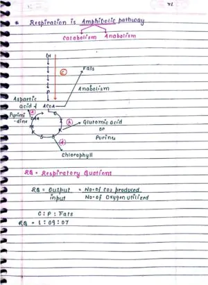 RESPIRATION IN PLANTS CLASS 11TH NEET BIOLOGY HANDWRITTEN NOTES