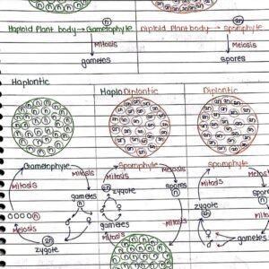 Sexual Reproduction in Flowering Handwritten Notes