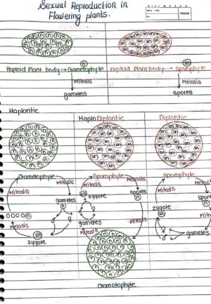 Sexual Reproduction in Flowering Handwritten Notes