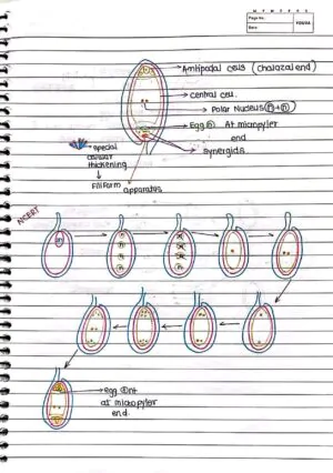 Sexual Reproduction in Flowering Handwritten Notes