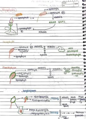 Sexual Reproduction in Flowering Handwritten Notes