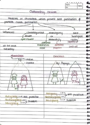 Sexual Reproduction in Flowering Handwritten Notes