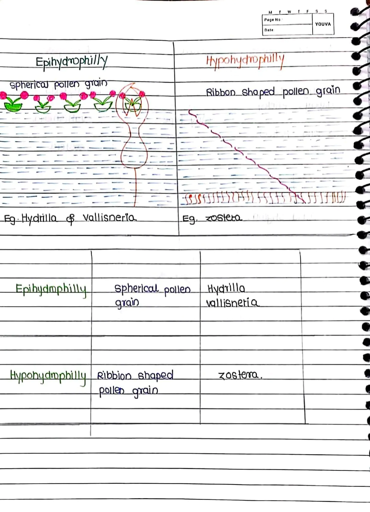 Sexual Reproduction in Flowering Handwritten Notes