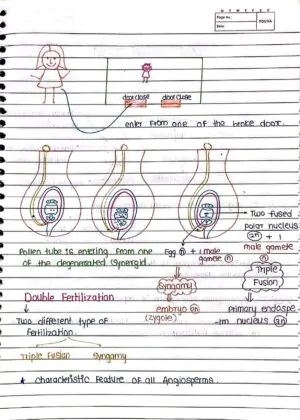 Sexual Reproduction in Flowering Handwritten Notes