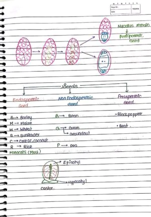 Sexual Reproduction in Flowering Handwritten Notes