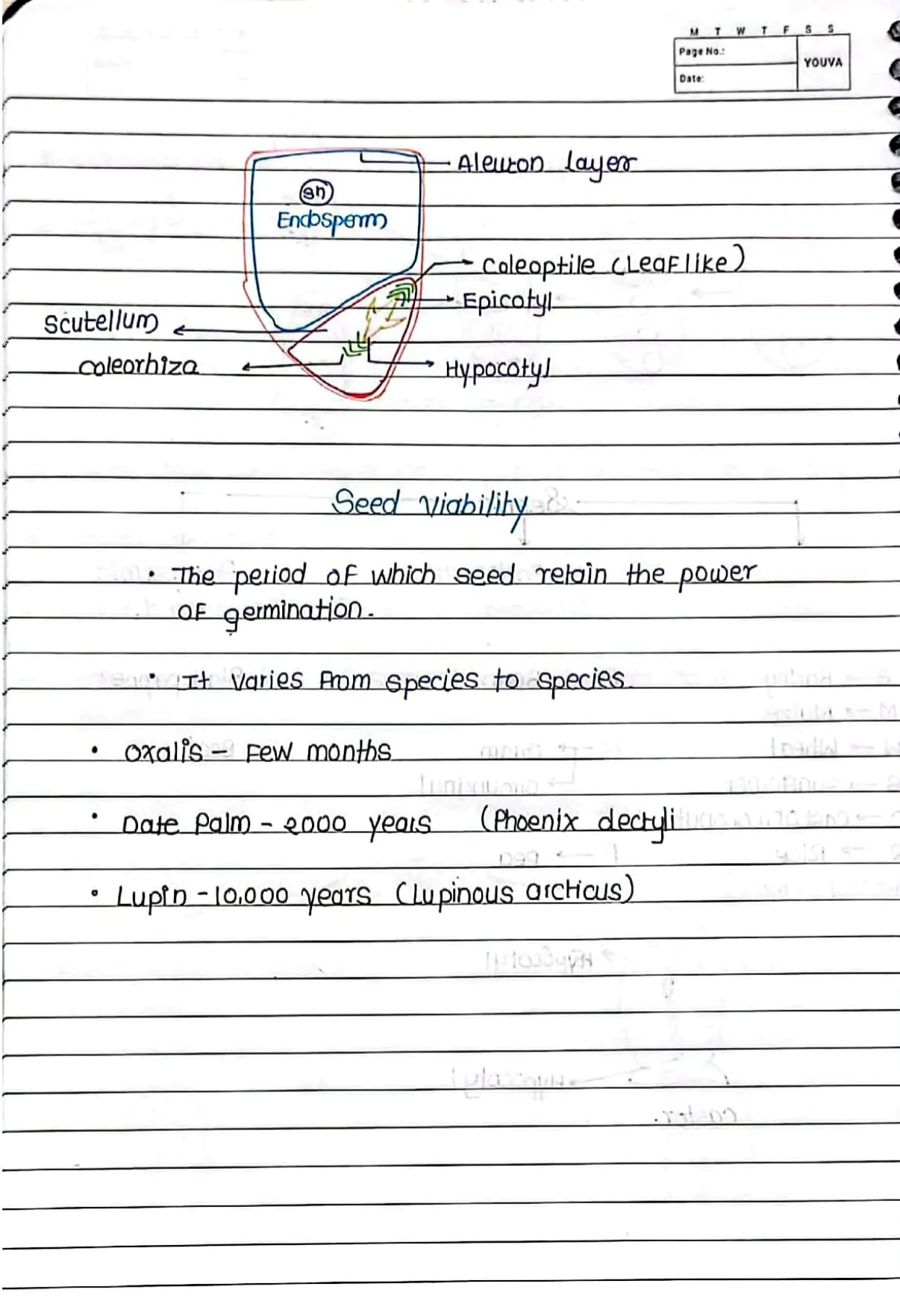 Sexual Reproduction in Flowering Handwritten Notes