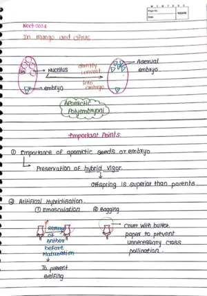 Sexual Reproduction in Flowering Handwritten Notes