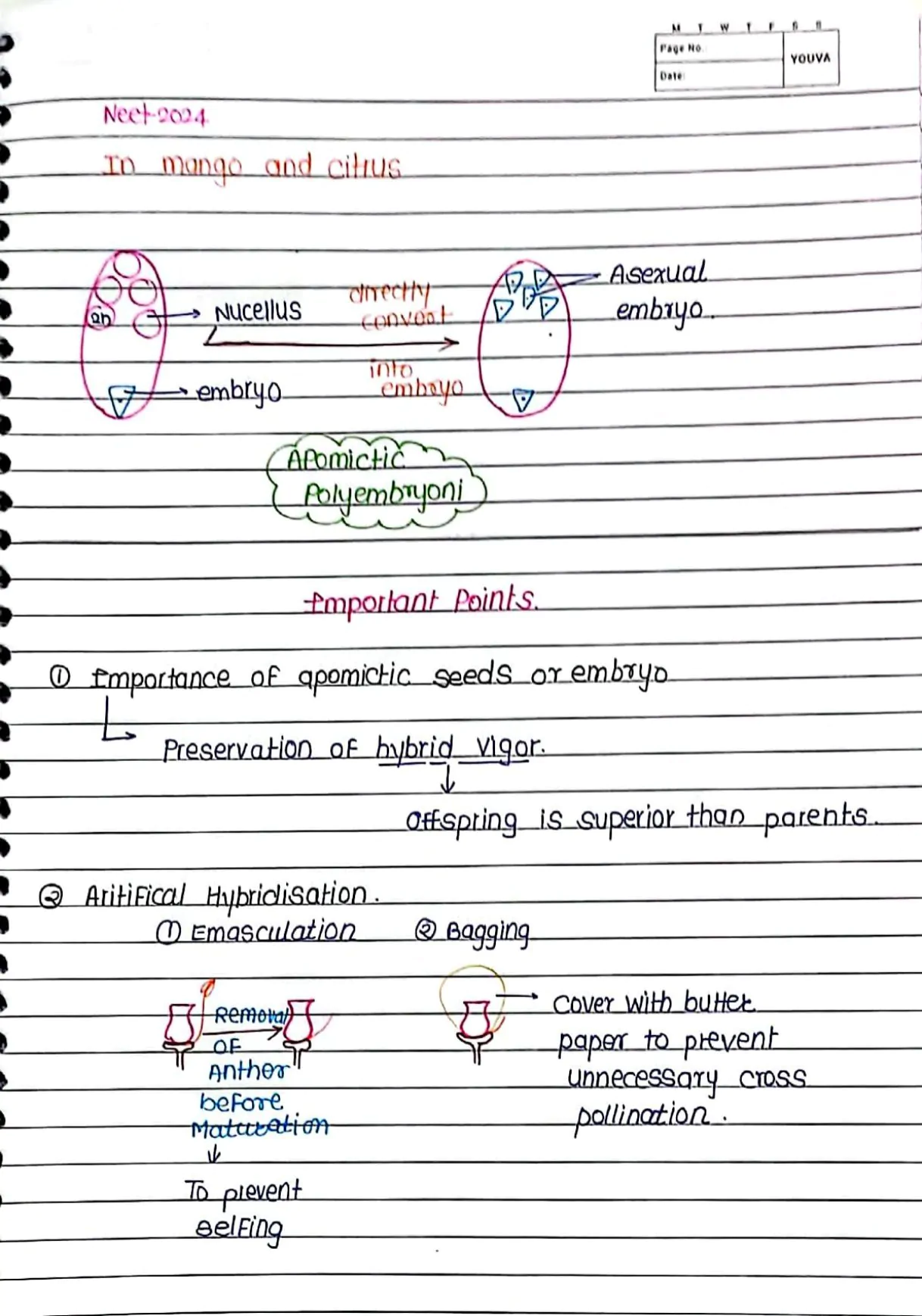 Sexual Reproduction in Flowering Handwritten Notes