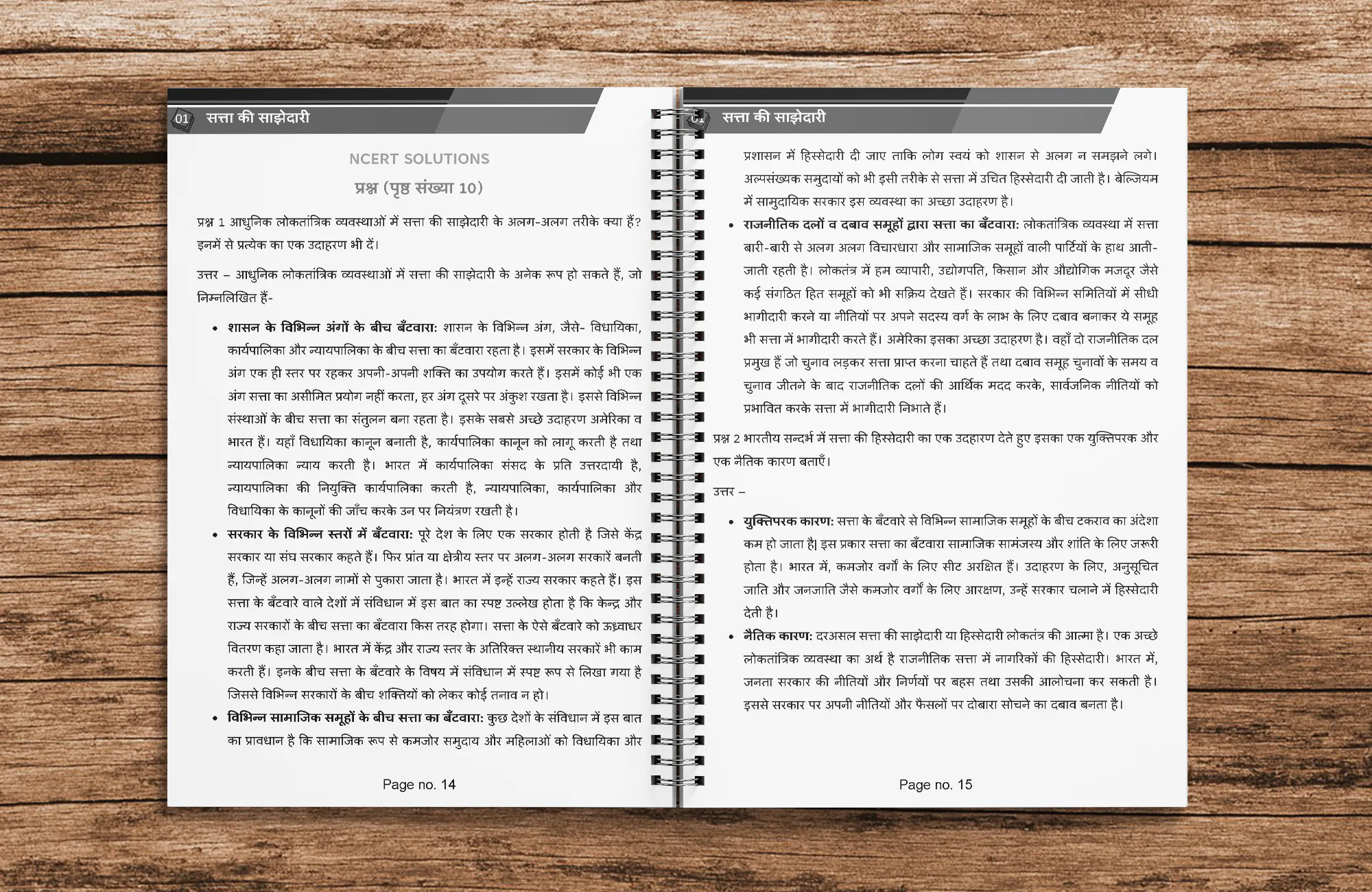 class 10 rajniti (Political Science ) Hindi Medium Printed Notes (with wiro Binding) - Image 3