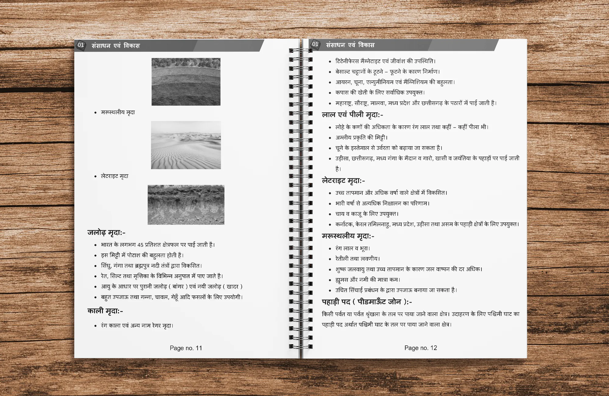 class 10 bhoogol ( Geography ) Hindi medium Printed Notes (with wiro Binding) - Image 6