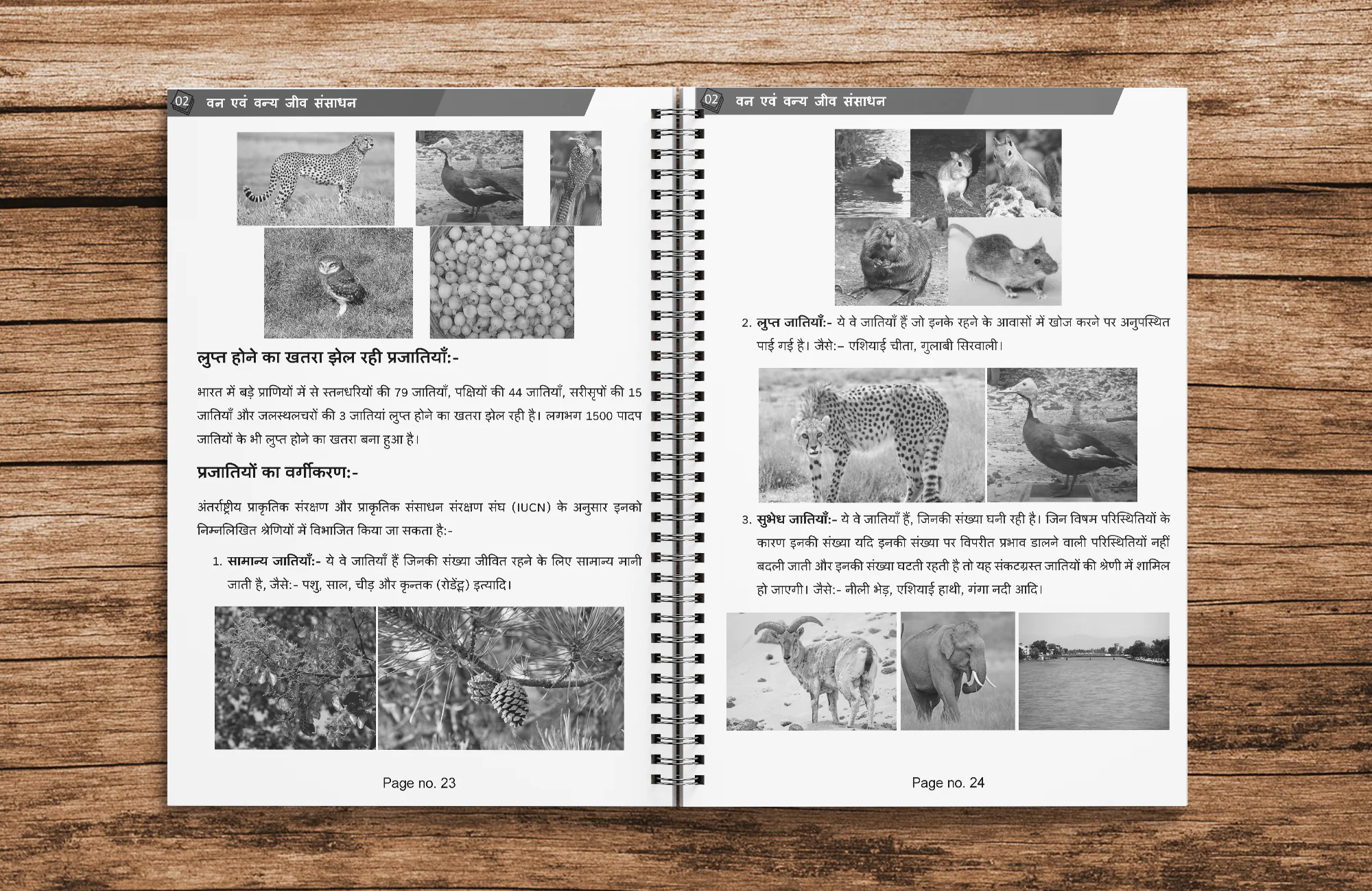 class 10 bhoogol ( Geography ) Hindi medium Printed Notes (with wiro Binding) - Image 5
