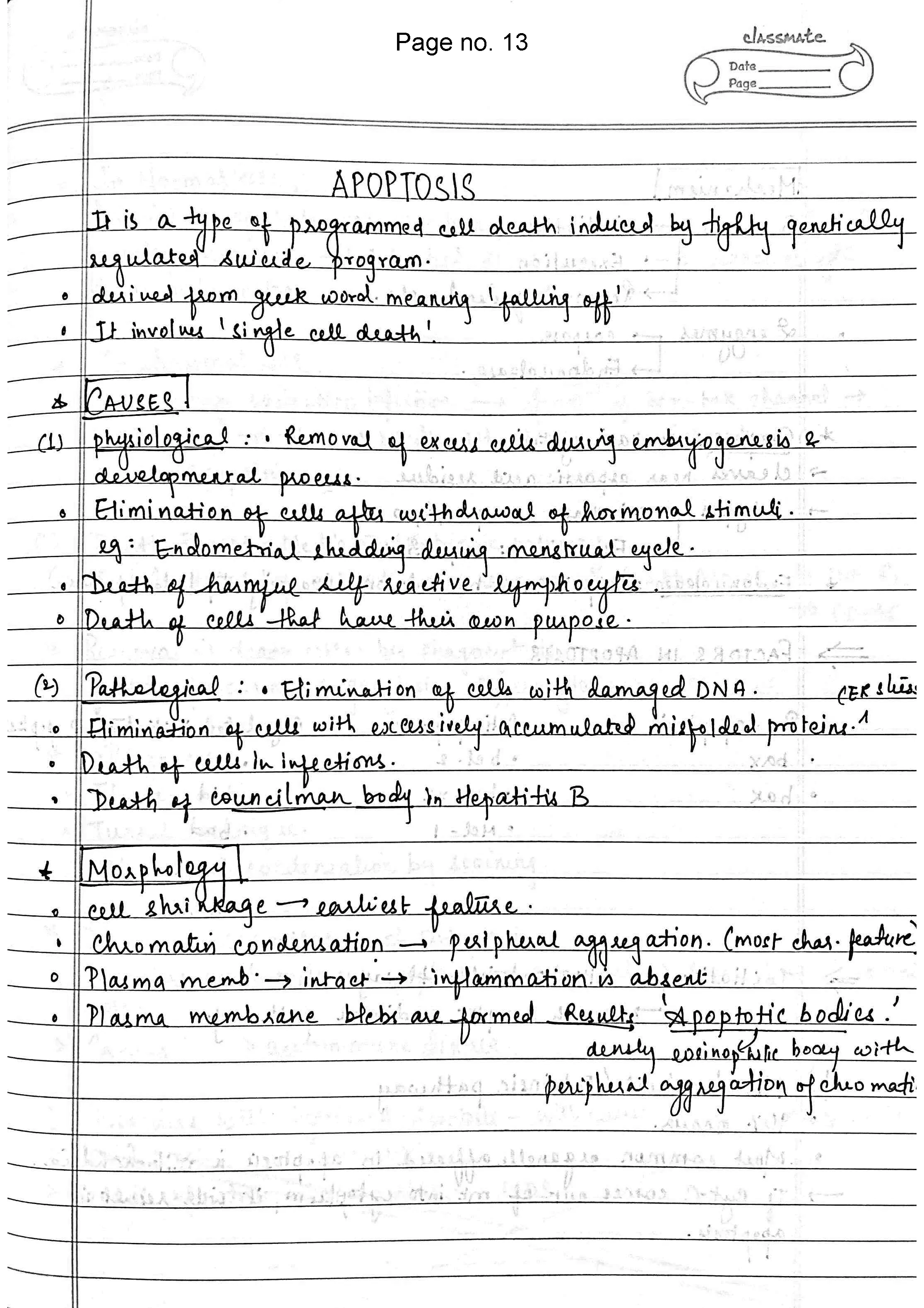 BDS 2nd year handwritten notes of PATHOLOGY Revision notes for University exams 💯 | Printed notes | Spiral binded - Image 4