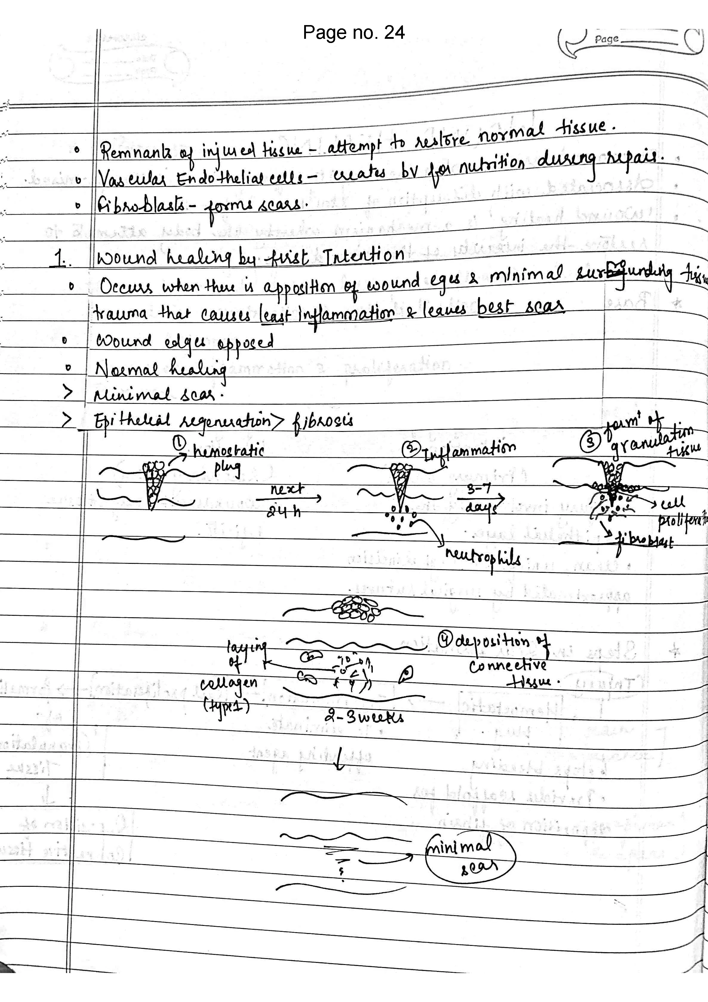 BDS 2nd year handwritten notes of PATHOLOGY Revision notes for University exams 💯 | Printed notes | Spiral binded - Image 5