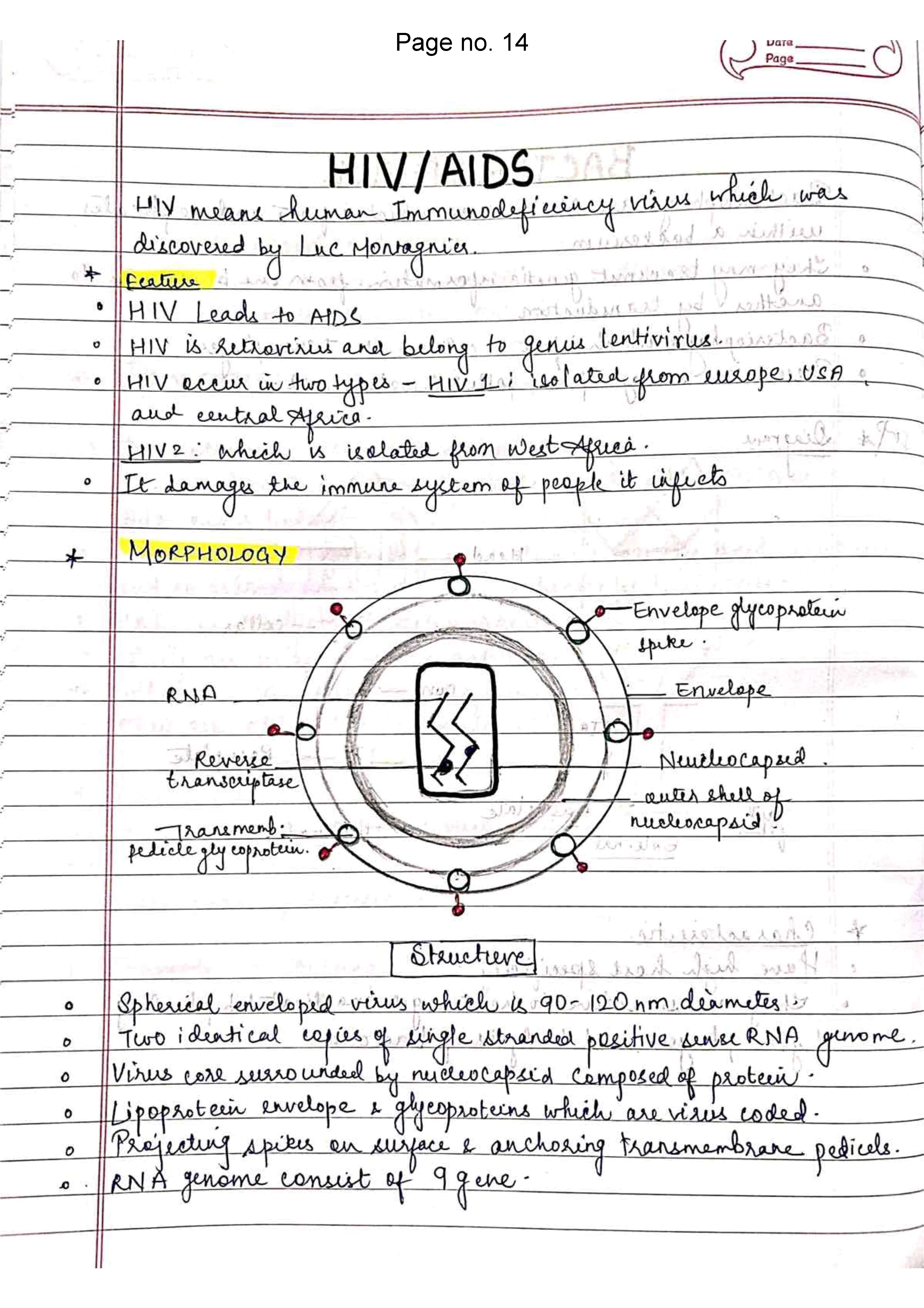 BDS 2nd year MICROBIOLOGY Handwritten Revision PRINTED notes for University exams 💯 (Spiral Binded) - Image 5