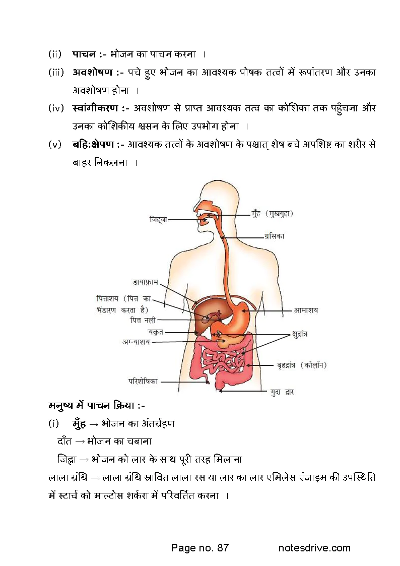 Class 10 Science ( विज्ञानं ) ( rasayanik , jeev vihyan , Bhautiki  ) PDF Notes hindi medium - Image 5