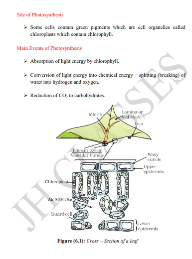 Science Notes Class - 10 With Last Five Years Solved Question Papers Chapter Wise PDF Download by Dr. Juber Hawaldar (JH) - Image 5