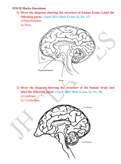 Science Notes Class - 10 With Last Five Years Solved Question Papers Chapter Wise PDF Download by Dr. Juber Hawaldar (JH) - Image 6