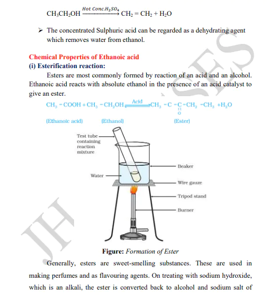 Carbon and Its Compounds Full Concept Explanation with Solved Exercise and Last Five Years Solved Question Papers PDF Download by Dr. Juber Hawaldar (JH) - Image 5