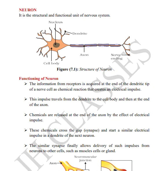 Control and Coordination Full Concept Explanation with Solved Exercise and Last Five Years Solved Question Papers PDF Download by Dr. Juber Hawaldar (JH) - Image 3