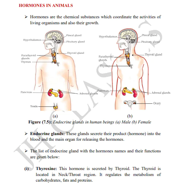 Control and Coordination Full Concept Explanation with Solved Exercise and Last Five Years Solved Question Papers PDF Download by Dr. Juber Hawaldar (JH) - Image 4