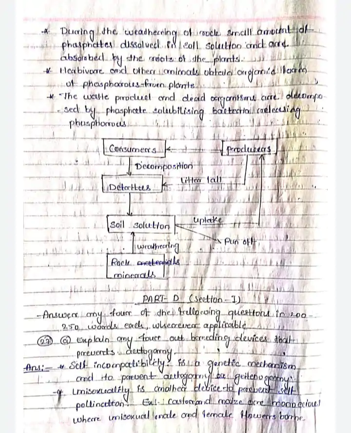 TH Biology class 12 previous year question paper solved july 2017 a( PDF only ) - Image 3