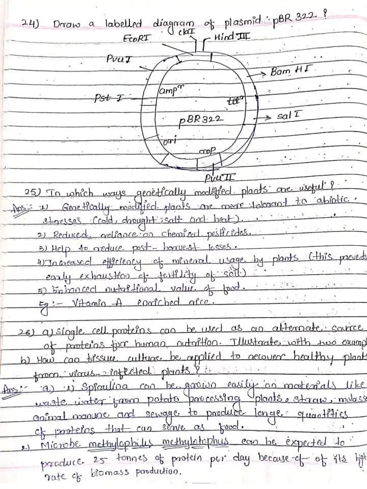TH Biology class 12 previous year question paper solved july 2015 PDF - Image 4