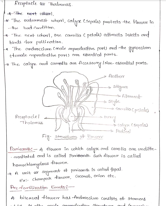 Class 12 Sexual Reproduction in Flowering Plants (Chapter - 1) by Tejashri CH (TH) - Image 2