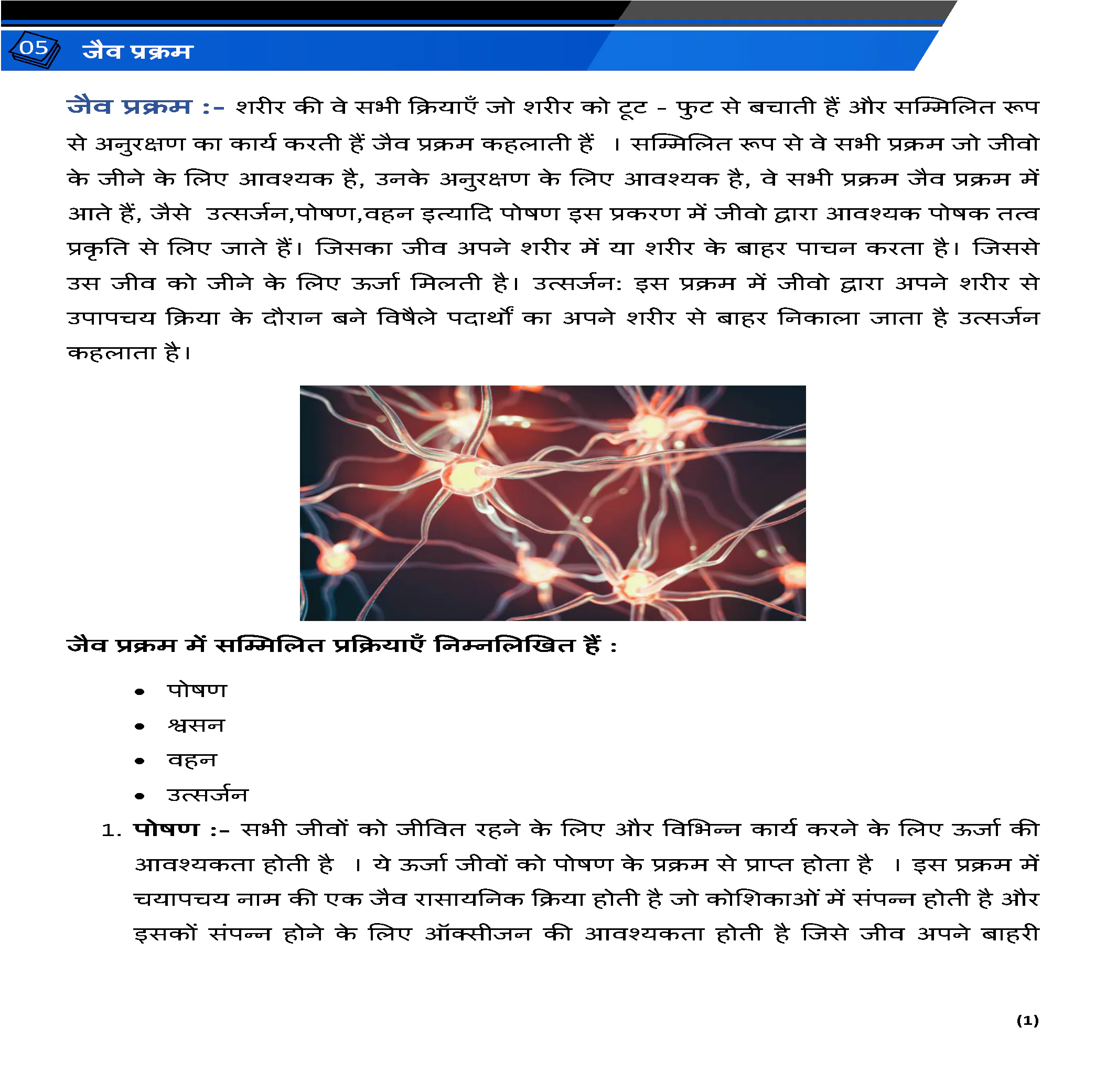 Class 10 विज्ञान (Science) All Chapters Notes Pdf | Hindi Medium | Notes Drive - Image 3