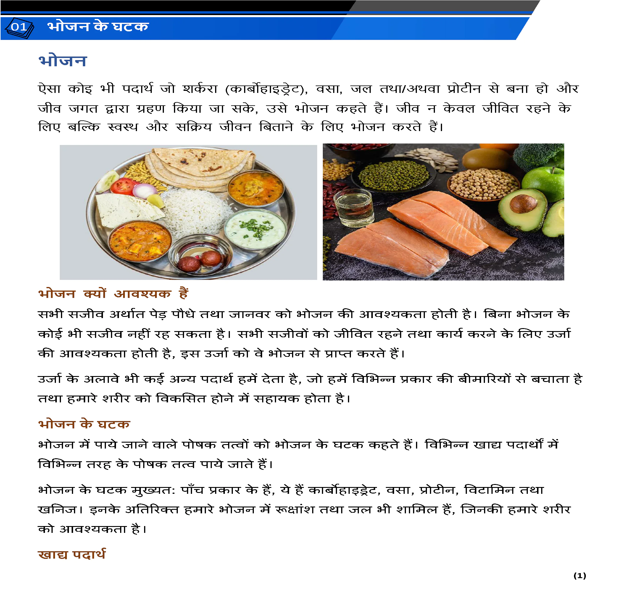 Class 6 विज्ञान (Science) All Chapters Notes Pdf | Hindi Medium | Notes Drive - Image 3