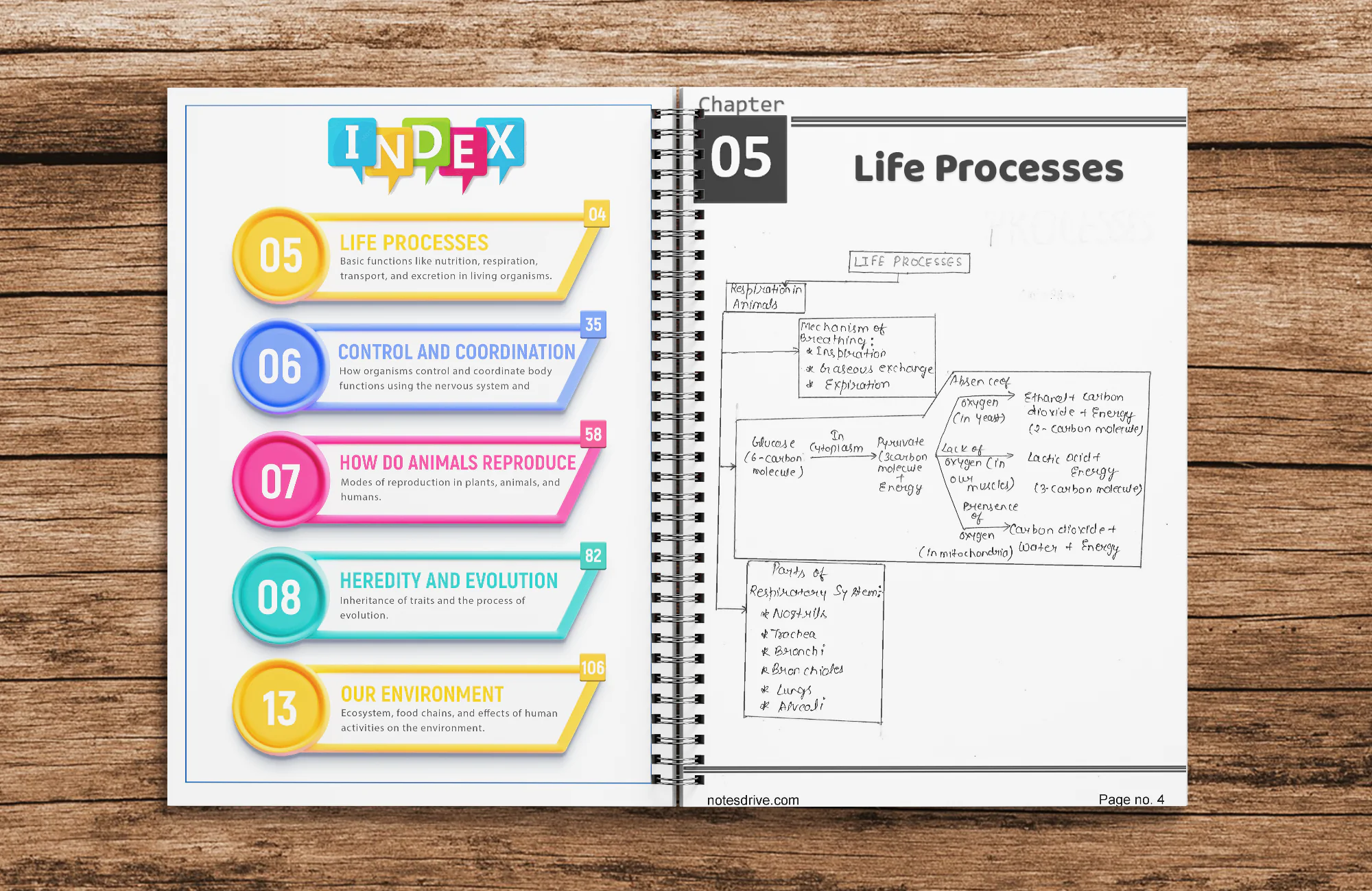 Class 10 Biology Handwritten printed Notes with Chapter-wise Question Papers | Master Series | NCERT Aligned | CBSE Board Exam Preparation - Image 2