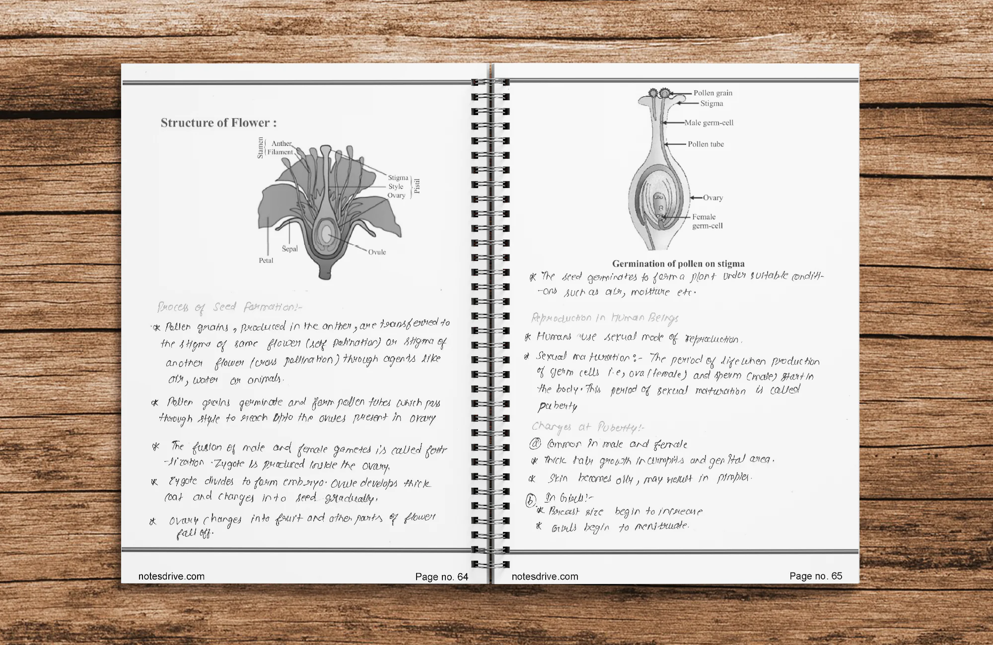 Class 10 Biology Handwritten printed Notes with Chapter-wise Question Papers | Master Series | NCERT Aligned | CBSE Board Exam Preparation - Image 3