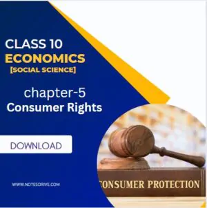 Economics chapter 5