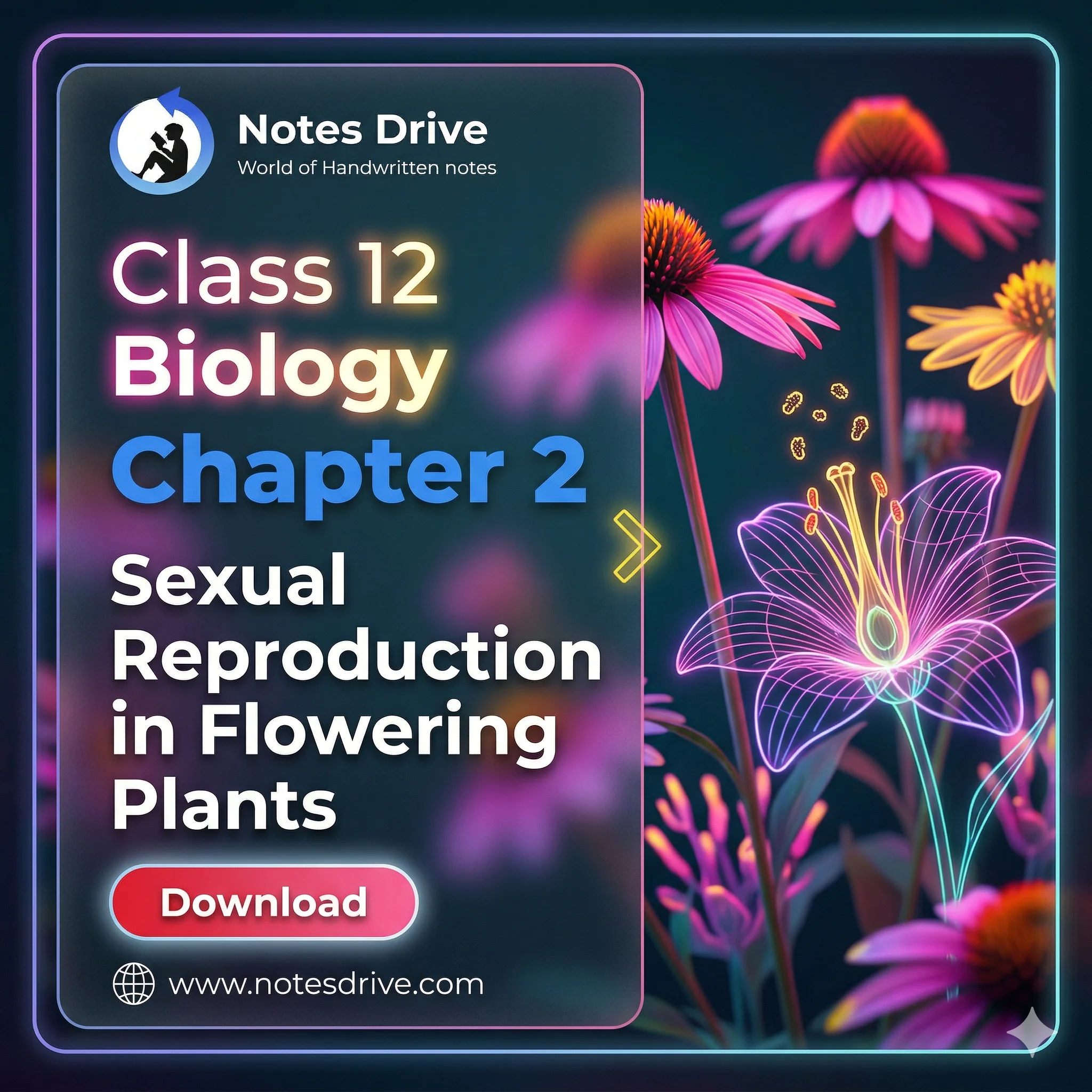 Class 12 Biology Chapter 2 Sexual Reproduction in Flowering Plants handwritten notes pdf download 2026-27
